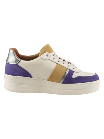 Heine Leder-Sneakers in Dunkelblau/ Hellbraun/ Weiß