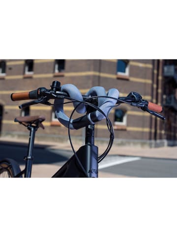 ABUS Goose Lock 6206K lichtblauw