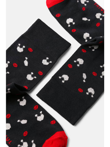 TATUUM 2er-Set: Socken in Anthrazit