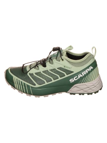 SCARPA Trailrunningschoenen "Ribelle Run" groen