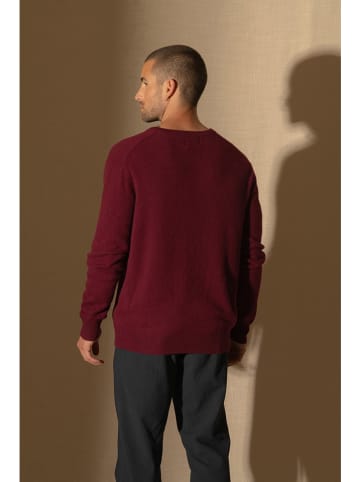 Perfect Cashmere Kasjmieren trui "Alexander" bordeaux