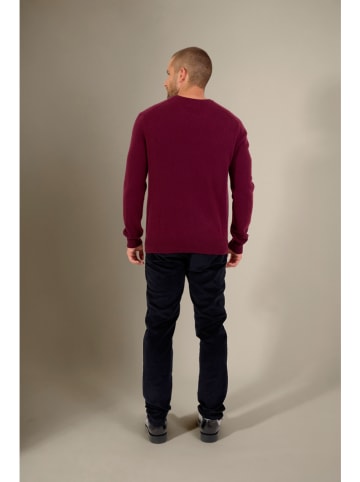 Perfect Cashmere Kasjmieren trui "Blake" beskleurig