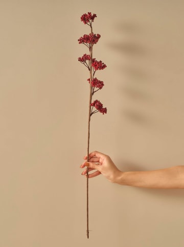 BELLA MAISON Droogbloem "Christmas Dal" rood - (H)75 cm