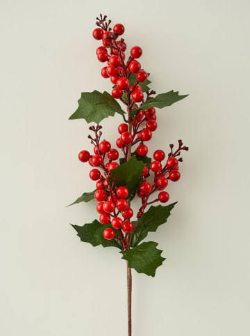 BELLA MAISON Kunstplant groen/rood - (H)55 cm