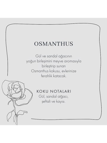 BELLA MAISON Geurstokjes "Osmanthus" - 250 ml