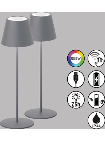 FH Lighting 2-delige set: ledtafellampen "Cosenza" grijs - (H)38 x Ø 12 cm