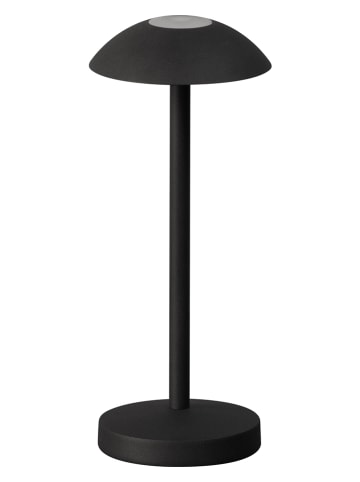 FH Lighting Lampa stołowa LED "Tekla" w kolorze czarnym - wys. 20 x Ø 8 cm