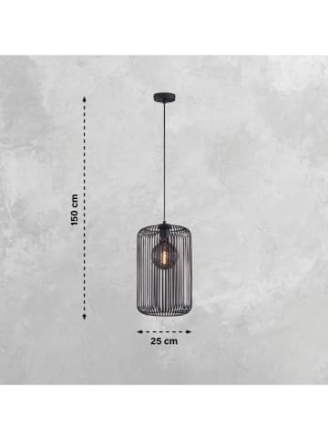 FH Lighting Plafonnière "Cage" zwart - Ø 25 cm x (H)150 cm