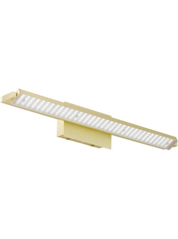 FISCHER & HONSEL Lampa ścienna LED "Pare" w kolorze złotym - 60 x 10 cm