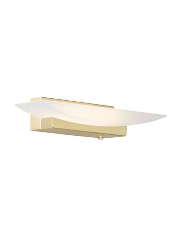 FISCHER & HONSEL LED-Wandleuchte ''Bowl'' in Gold - (L)6 x (B)30 cm