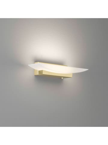 FISCHER & HONSEL LED-Wandleuchte ''Bowl'' in Gold - (L)6 x (B)30 cm