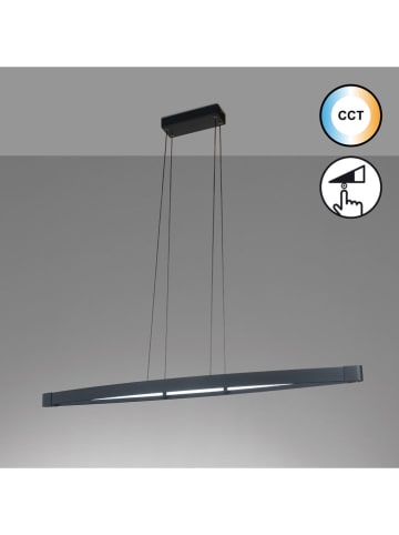 FISCHER & HONSEL LED-Pendelleuchte "Fenga" in Schwarz - (B)119 x (H)150 x (T)14,5 cm
