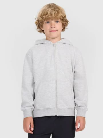 4F Sweatjacke in Grau
