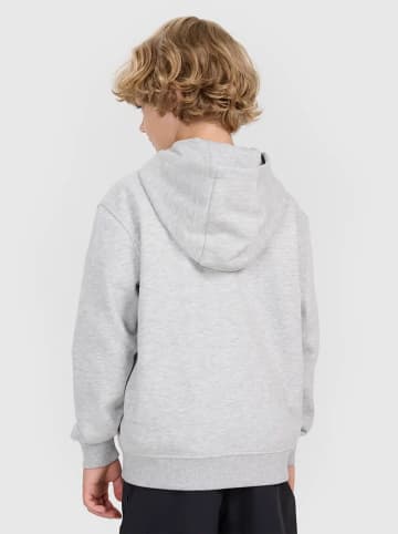 4F Sweatjacke in Grau