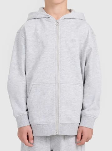 4F Sweatjacke in Grau