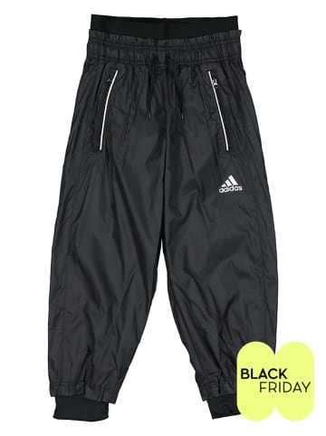 adidas Trainingshose in Schwarz