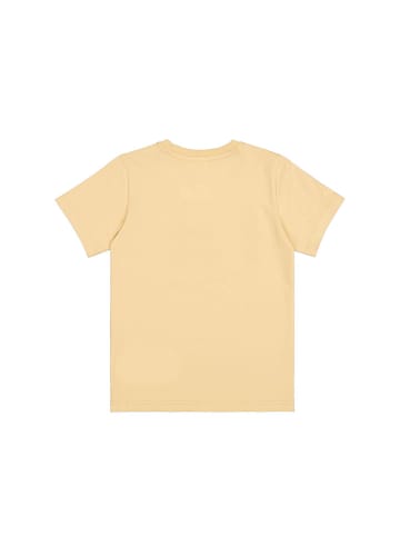 Champion Shirt in Orange