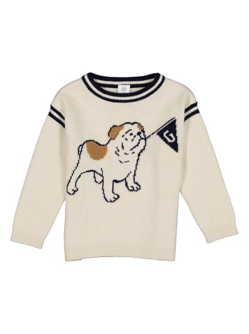 GAP Pullover in Beige/ Schwarz