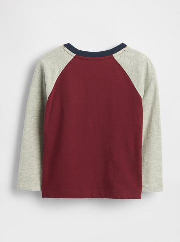 GAP Longsleeve rood/grijs
