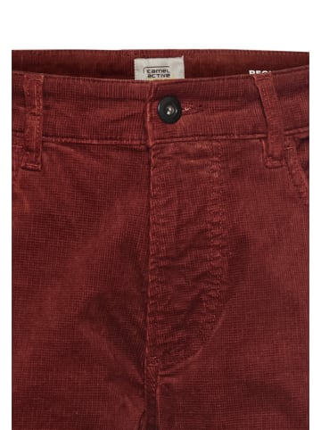 Camel Active Cordhose in Bordeaux