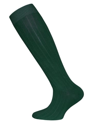 ewers 2er-Set: Kniestrümpfe in Grün