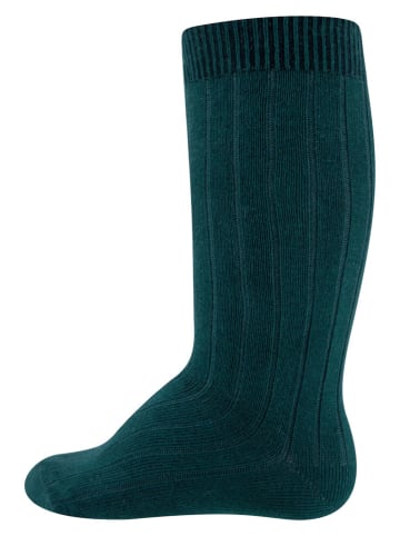 ewers 2-delige set: kniekousen groen