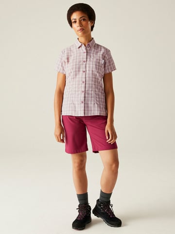 Regatta Koszula funkcyjna "Mindano VIII" w kolorze fioletowym