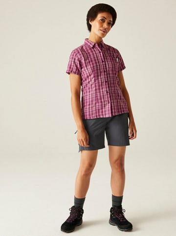 Regatta Koszula funkcyjna "Mindano VIII" w kolorze fioletowym