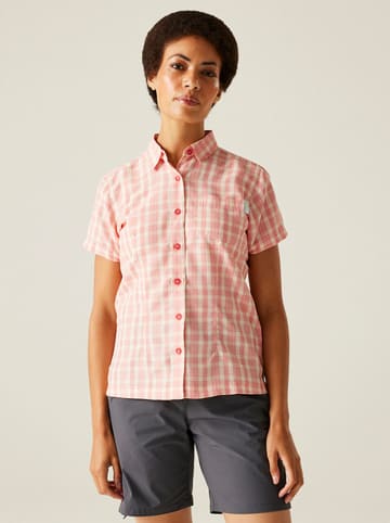 Regatta Funktionshemd "Mindano VIII" in Rosa