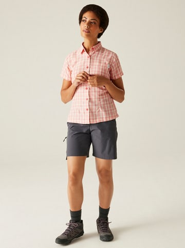 Regatta Koszula funkcyjna "Mindano VIII" w kolorze jasnoróżowym