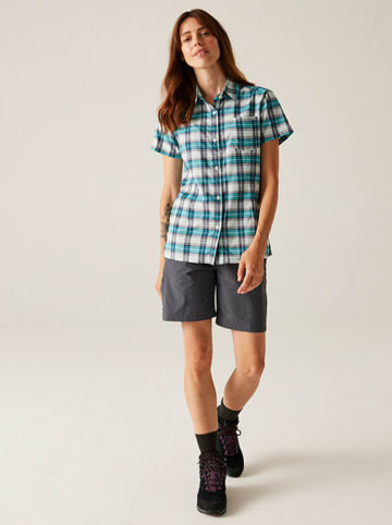 Regatta Koszula funkcyjna "Begarno" w kolorze turkusowym