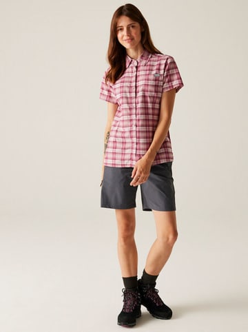 Regatta Koszula funkcyjna "Begarno" w kolorze różowym