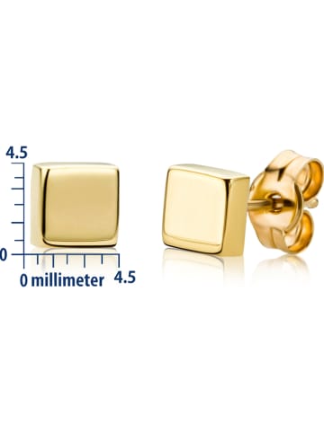 Revoni Gouden oorstekers