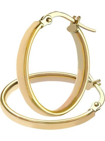 Rinani Gouden creolen