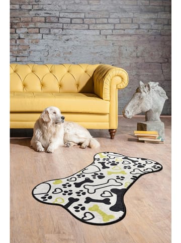 Mioli Dywan w kolorze kremowym