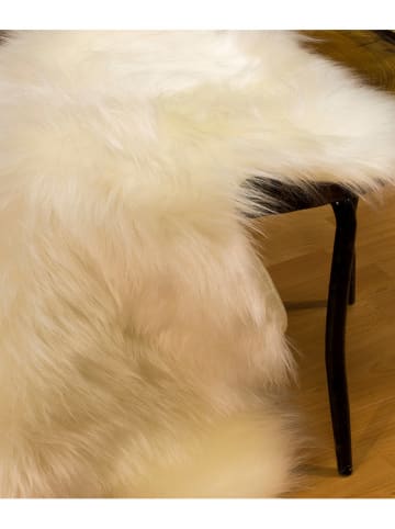 Mioli Hoogpolig tapijt beige