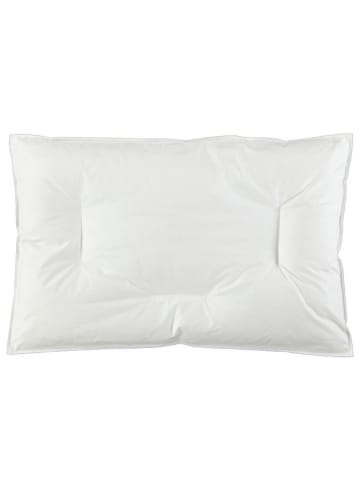 Schäfer Baby-/ Kinder-Daunenkissen "Arktis - 90" in Weiß