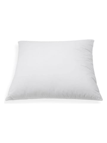 Schäfer Verenkussen "Arktis - 85" wit