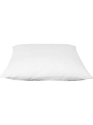 Schäfer Meerkamerkussen "Arktis" wit