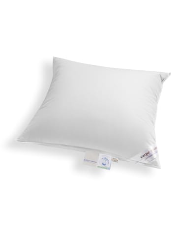 Schäfer Kopfkissen "Carpe noctem - Medium" in Silber