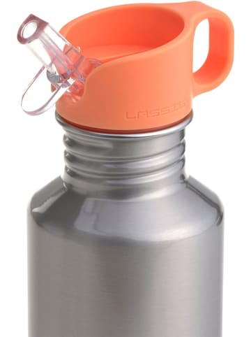 Lässig Roestvrijstalen drinkfles ''Nature'' - 500 ml