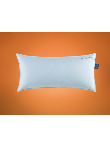 Häussling Bettwaren Federkissen "Hygge home" in Weiß