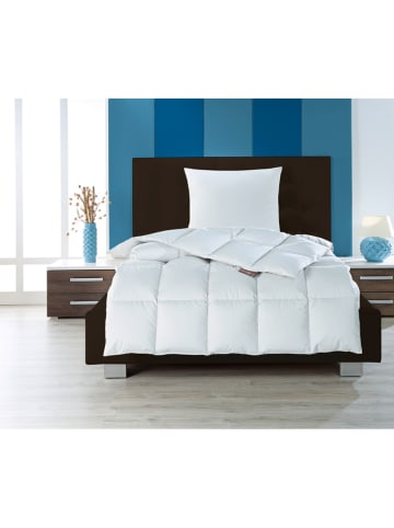 Häussling Bettwaren 4-seizoenen-donsdekbed "Moschus Royal" zilvergrijs