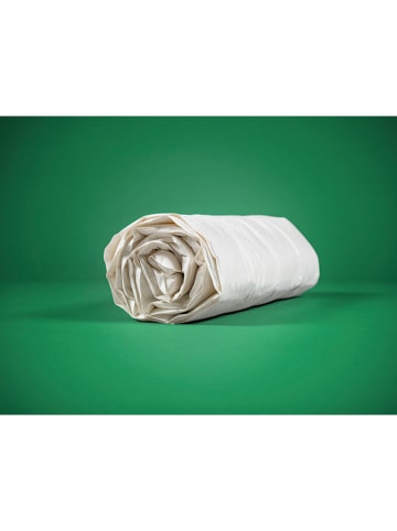 Häussling Bettwaren 4-seizoenen-donsdekbed wit