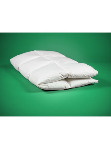 Häussling Bettwaren 4-seizoenen-donsdekbed wit