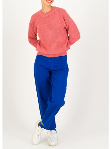 Blutsgeschwister Trui "Highway to Heaven" lichtroze