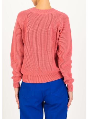 Blutsgeschwister Trui "Highway to Heaven" lichtroze