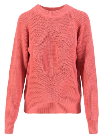 Blutsgeschwister Trui "Highway to Heaven" lichtroze