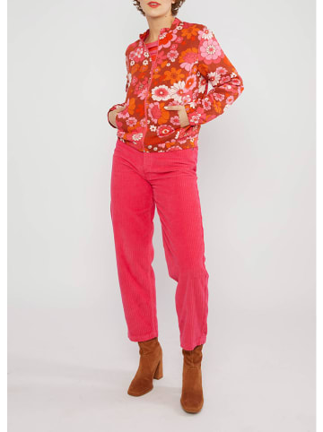 Blutsgeschwister Tusssenjas lichtbruin