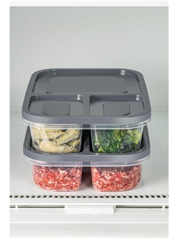 Violeta Home 2-delige set: voorraadcontainers grijs - (B)24 x (H)15 x (D)5 cm